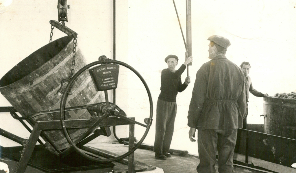 1963 - Le cap des 1000 hectolitres